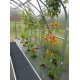 Zahradní skleník z polykarbonátu Gardentec Standard