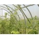 Zahradní skleník z polykarbonátu Gardentec Classic PROFI